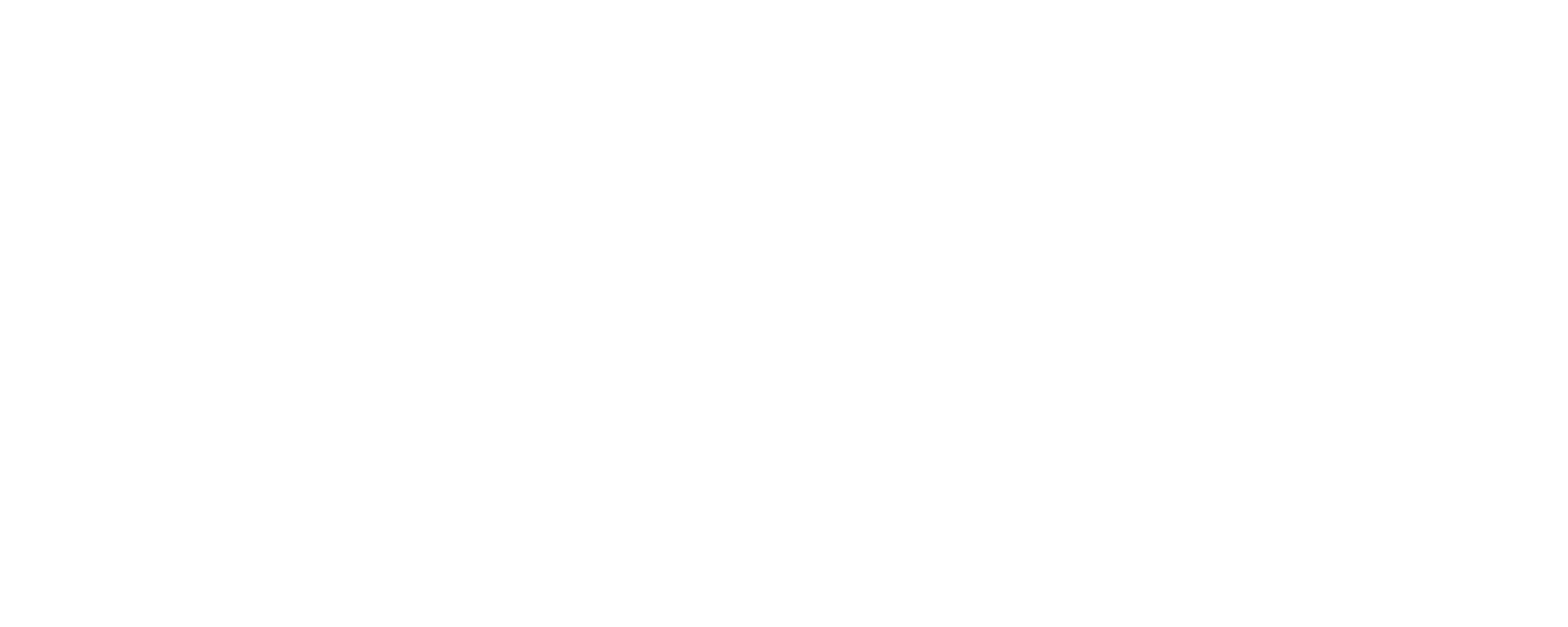 Car Boutique EAGLE